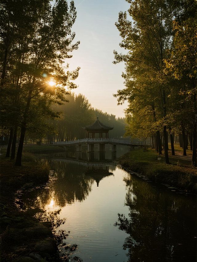 帶娃玩轉濱州淄博！4天行程超省心