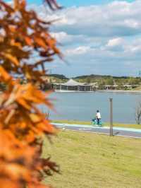 注意!這不是油畫,而是成都的彩色秋天!
