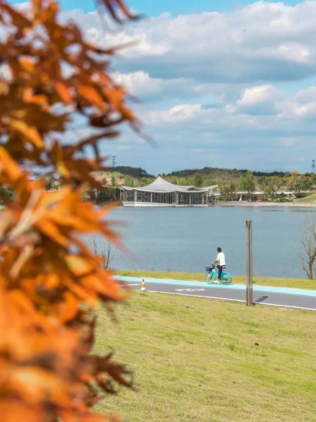注意!這不是油畫,而是成都的彩色秋天! 注意!這不是油畫,而是成都的彩色秋天!