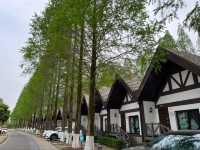 上海太陽島度假別墅|寵物友好還能遇見王安石詩意