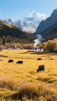 四川·稻城亞丁，最後的香格里拉！