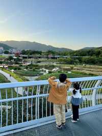 金灣木頭沖|走進童話世界