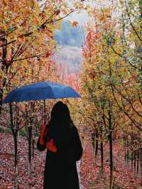 誰說看紅葉一定要去日本？河北這座小三峽美炸了！