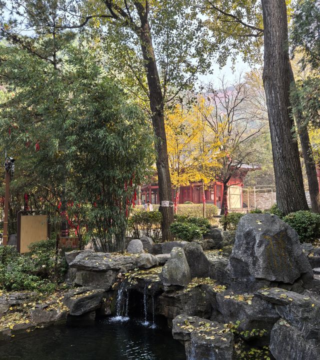 濟南賞秋之紅葉谷 濟南賞秋之紅葉谷