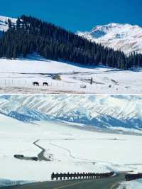 冬季伊犁|闖入冰雪仙境,享野奢之旅