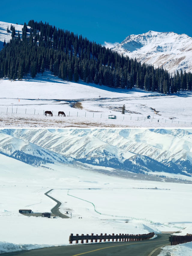 冬季伊犁|闖入冰雪仙境,享野奢之旅 冬季伊犁|闖入冰雪仙境,享野奢之旅