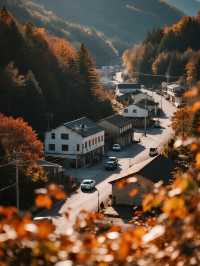 帶娃衝光霧山紅葉+遛娃兩不誤！