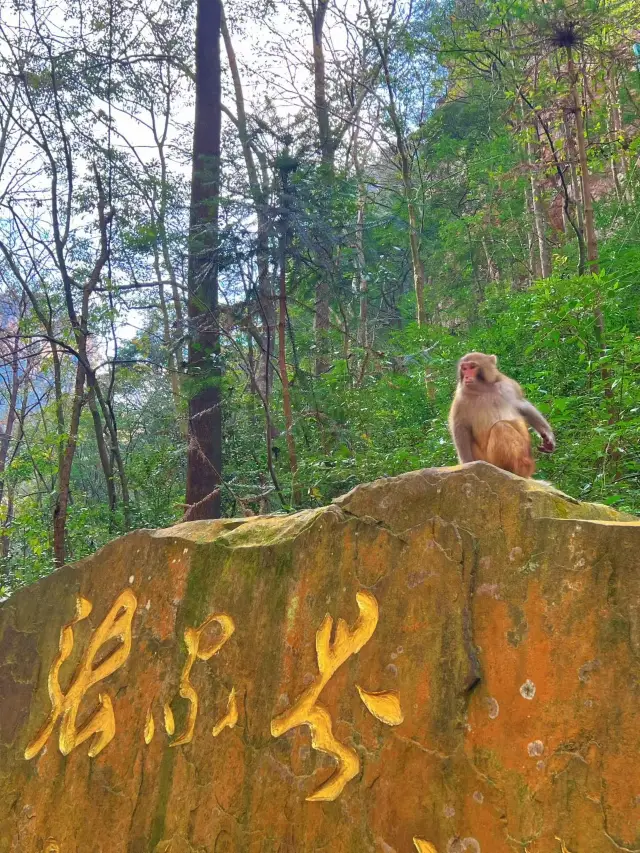 An 800-mile rush just to see this fairyland on earth