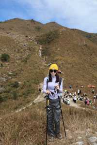 香港大東山,秋日芒草的夢幻之旅!