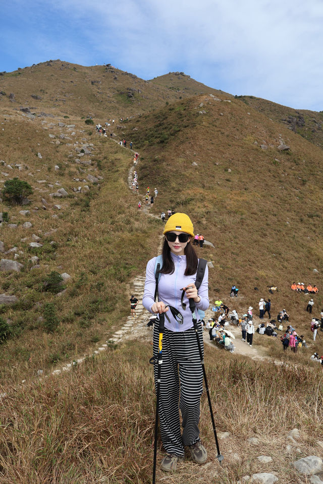 香港大東山,秋日芒草的夢幻之旅! 香港大東山,秋日芒草的夢幻之旅!