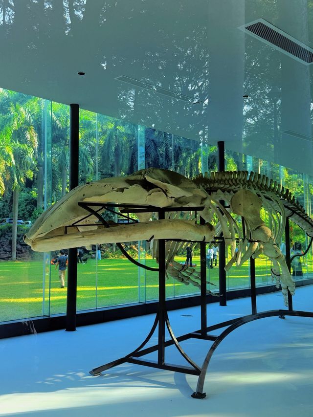 廣州4號線藏了一座「魔幻莊園」闖進末日科幻片 人少景美! 廣州4號線藏了一座「魔幻莊園」闖進末日科幻片 人少景美!