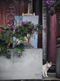 江油禪林寺|藏在寺廟裡的咖啡屋