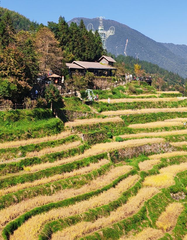 雲和梯田 雲和梯田