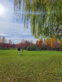 官宣石家莊的封神秋色在這裡