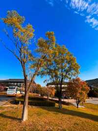 瀋陽必爬棋盤山攻略