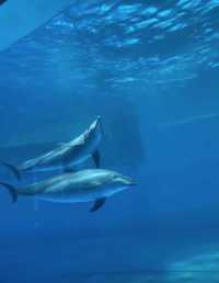 泉州歐樂堡歡樂全攻略