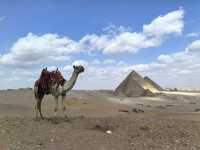 古埃及金字塔4500年未被超越,必去看!