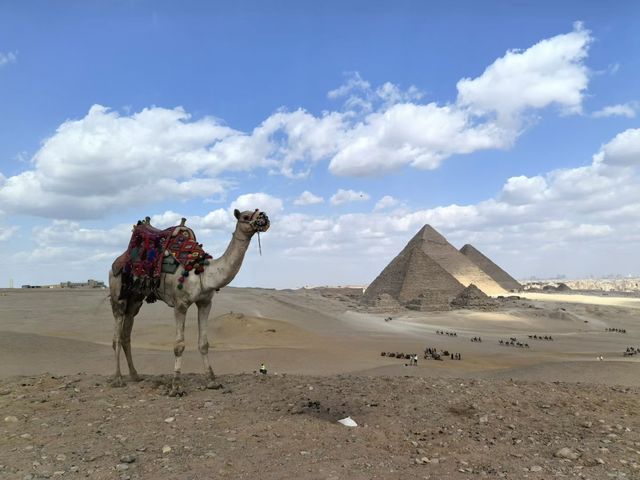 古埃及金字塔4500年未被超越,必去看! 古埃及金字塔4500年未被超越,必去看!