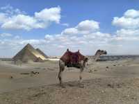 古埃及金字塔4500年未被超越,必去看!