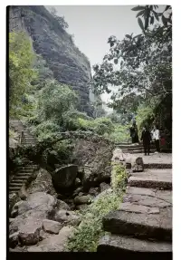 清冷武夷山，最宜岩骨花香漫步