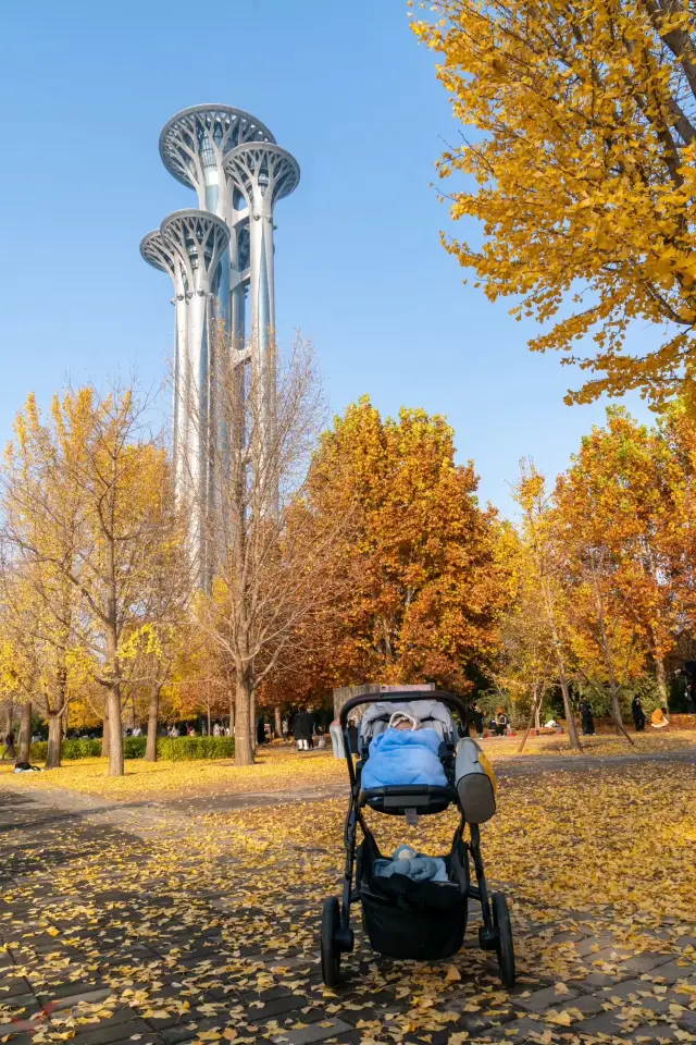 憶秋 月初,帶大寶再次巡視奧森公園,小傢伙睜著一雙水靈靈的大眼睛看著這滿目秋色,神態自若。 