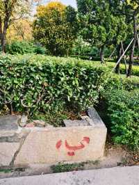 泉州半日遊保姆級攻略鐘樓+西街+開元寺