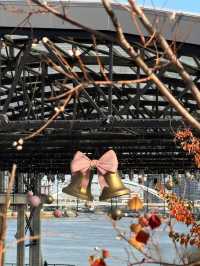 上海小眾浪漫地粉紅聖誕樹+星河街景絕絕子