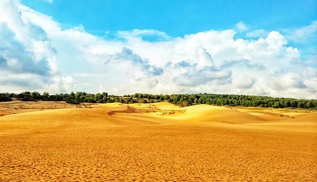 美奈一日遊,自由行攻略 美奈一日遊,自由行攻略