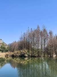 曲靖等地攻略來啦老友出行必看超讚