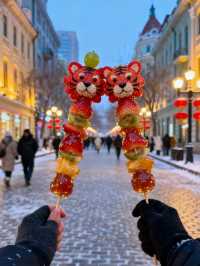 冬天去長白山-哈爾濱-漠河北極村絕了