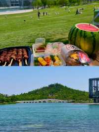 都市浪漫花海漫遊