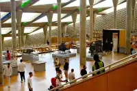 亞歷山大圖書館