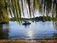 共青森林公園菊花展美翻啦