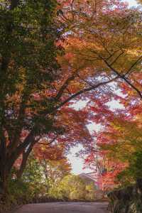大山崎山莊美術館