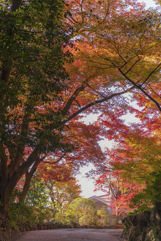 大山崎山莊美術館