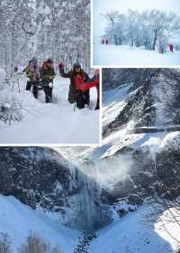 哈亞雪+延吉+長白山東北全線定制遊!