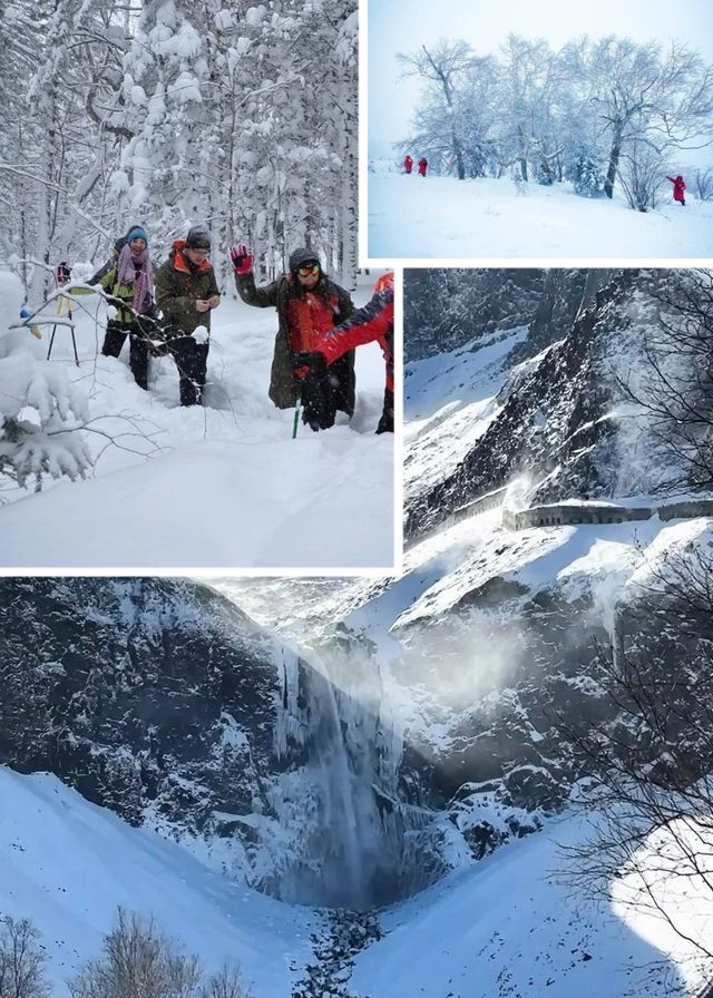 哈亞雪+延吉+長白山東北全線定制遊! 哈亞雪+延吉+長白山東北全線定制遊!