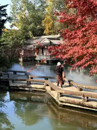 在成都隱藏的江南園林!感受一場盛大的秋天
