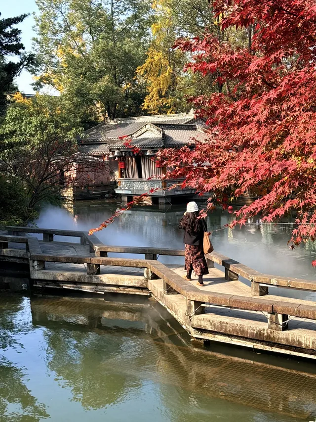在成都隱藏的江南園林!感受一場盛大的秋天 在成都隱藏的江南園林!感受一場盛大的秋天