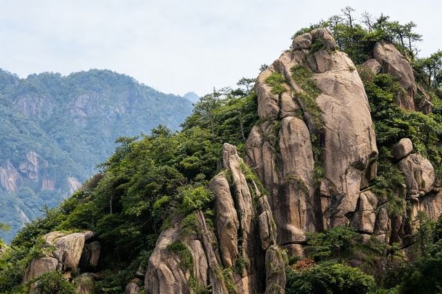 九華山兩日閒遊攻略:遇見山間的禪意與清涼 九華山兩日閒遊攻略:遇見山間的禪意與清涼