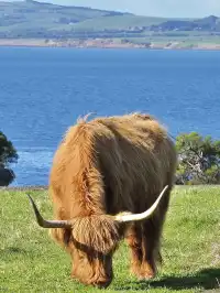 Melbourne週末好去處