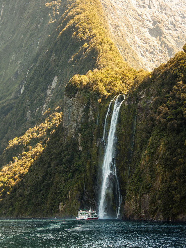 新西蘭必看小團|9天中文司導帶玩南北島