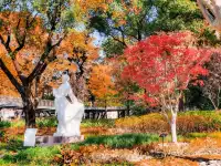 11.27實拍!和平公園的秋天比濾鏡還絕!