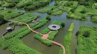 航拍——德清下渚湖