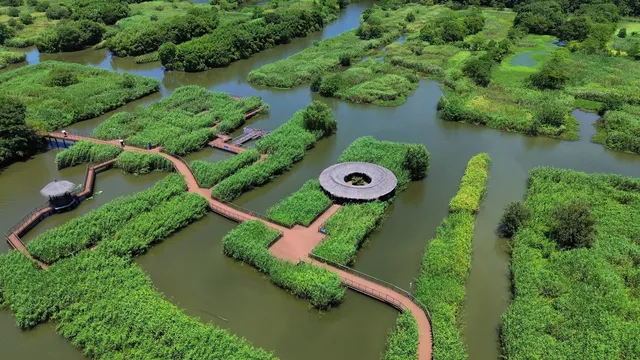 航拍——德清下渚湖 航拍——德清下渚湖