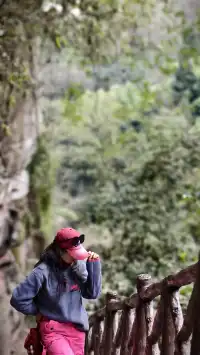 【成都天台山手記|與螢火一起登頂的初夏】