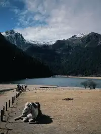 12月1日 從麗江到無底湖到稻城亞丁的路上