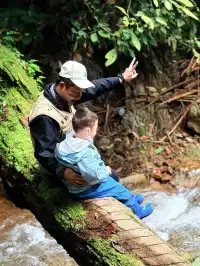 西雙版納+普洱6天5晚旅遊攻略(輕鬆版)