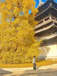 12月！預計會有10萬人來這裡…