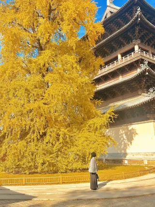 December! It's expected that 100,000 people will come here…